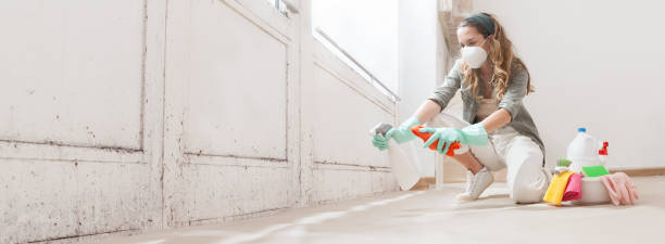 Why You Should Choose Our Mold Remediation Services in White Oak, MS